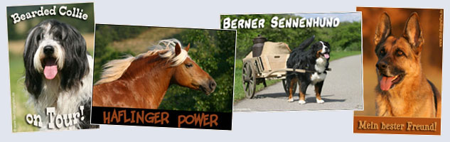 Autoaufkleber, Hundeautoaufkleber, Hundeaufkleber