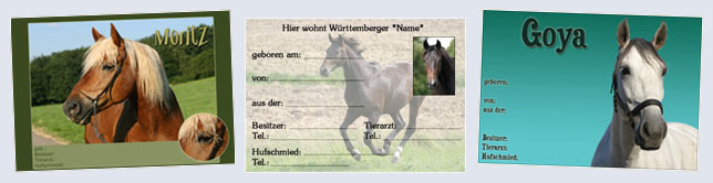 Boxenschild / Stalltafel