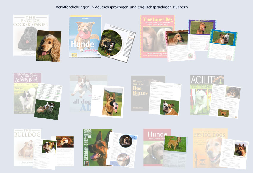 B�cher