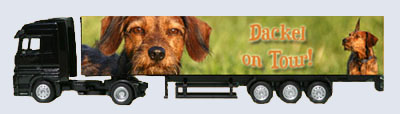 Minitrucks mit Pferd, Hund und Katze